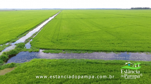 DOS EÓLICOS VIRA P FAZENDA_Moment.00_00_07_17.Quadro034_c71caaa4290bd8ba730ee0483373ca6e6b144f32.png